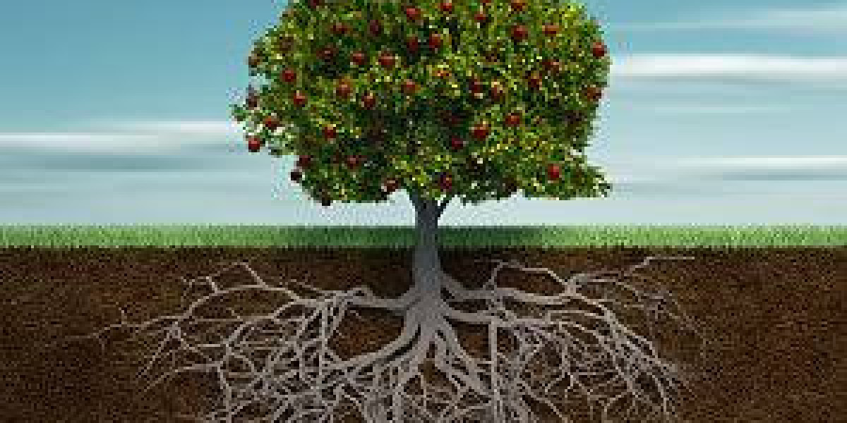 Living a fruitful life — with God